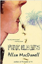 BOOK - PUNK ELEGIES