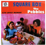 PEBBLES - SQUARE BOX