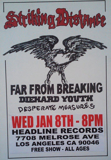 HEADLINE FLYER - STRIKING DISTANCE / DIEHARD YOUTH (COLOR)