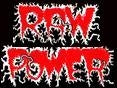 RAW POWER 1" BUTTON