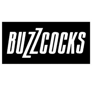 BUZZCOCKS - BUZZCOCKS 1" BUTTON