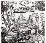 M.S.I - MORE STUPID INITIALS