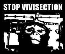 1" BUTTON - STOP VIVISECTION