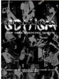 SCHISM NEW YORK HARDCORE FANZINE USED BOOK