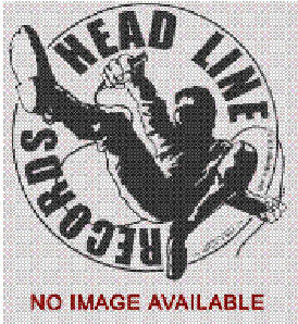 FLOGGING MOLLY - THE GREEN 17 TOUR 2006 POSTER