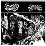 SPLIT EP - FALL OF THE BASTARDS / WORMWOOD