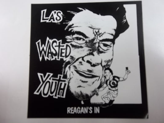 WASTED YOUTH - REAGAN'S IN STICKER