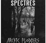 SPLIT EP - ARCTIC FLOWERS / SPECTRES