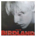 Birdland - Paradise