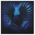 LONG & SHORT OF IT - CAN AN UNKINDNESS OF RAVENS
