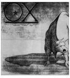 OX - ABOUT TIME