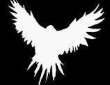 TRAGEDY - BIRD PATCH