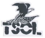 TSOL - EAGLE CUT OUT EMBROIDERED PATCH