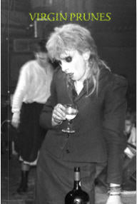 VIRGIN PRUNES - PICTURES BOOK BY MICK MERCER