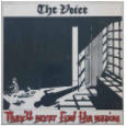 VOICE - THEY'LL NEVER FIND THE MANIAC