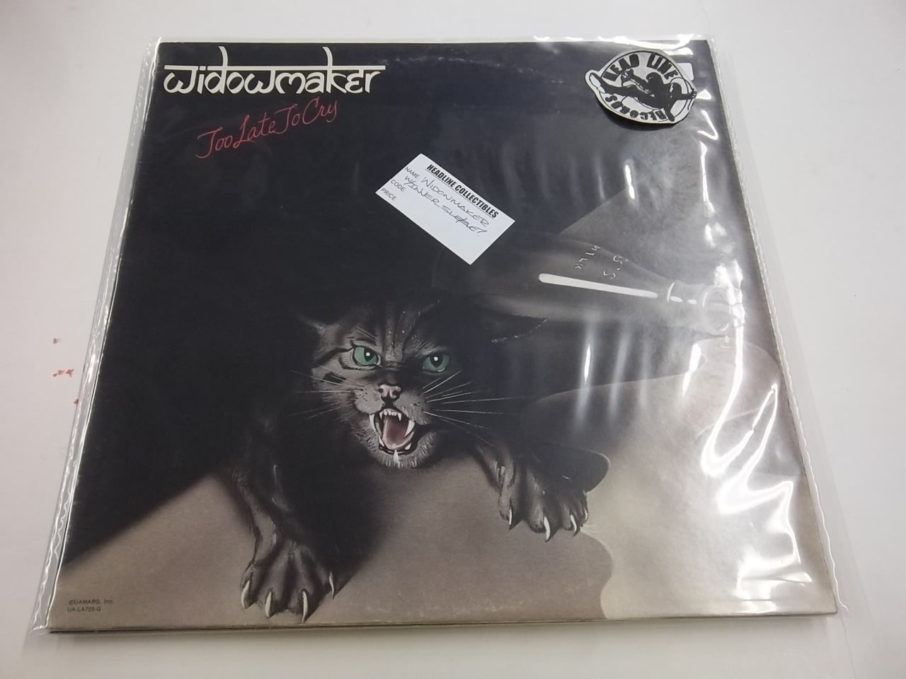 WIDOWMAKER - TOO LATE TO CRY