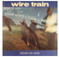 WIRE TRAIN - BETWEEN TWO WORDS