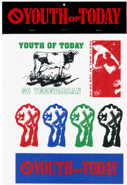 YOUTH OF TODAY - STICKER PACK