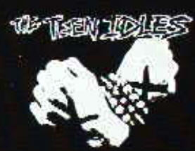 TEEN IDLES - FIST PATCH